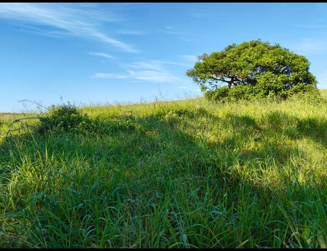 1,586M² VACANT LAND FOR SALE IN SEATON ESTATE